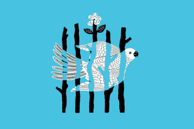 Ficção, memória e resgate em “Sem Despedidas”, de Han&nbsp;Kang